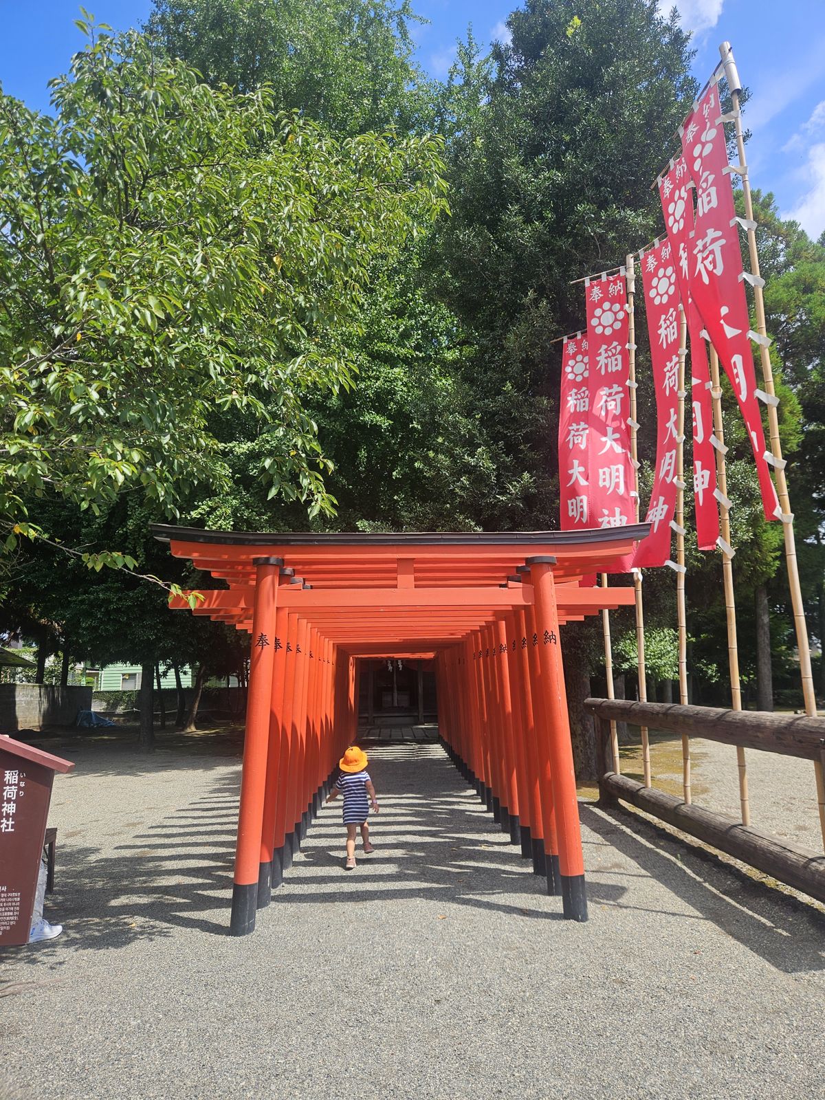 Kyushu à vélo